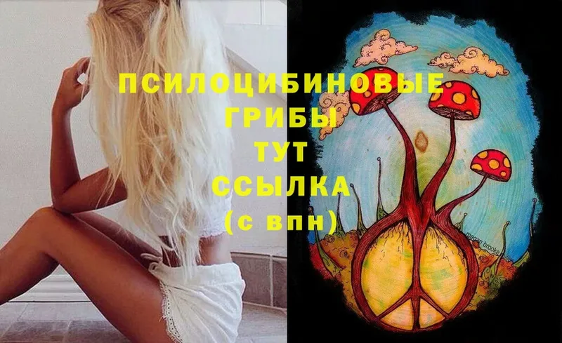 Псилоцибиновые грибы ЛСД  купить  сайты  Нижняя Тура 